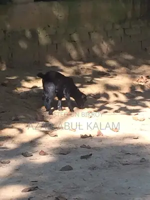 গার্ডেন হোম বা বাংলো তৈরির জন্য জমি বিক্রয়