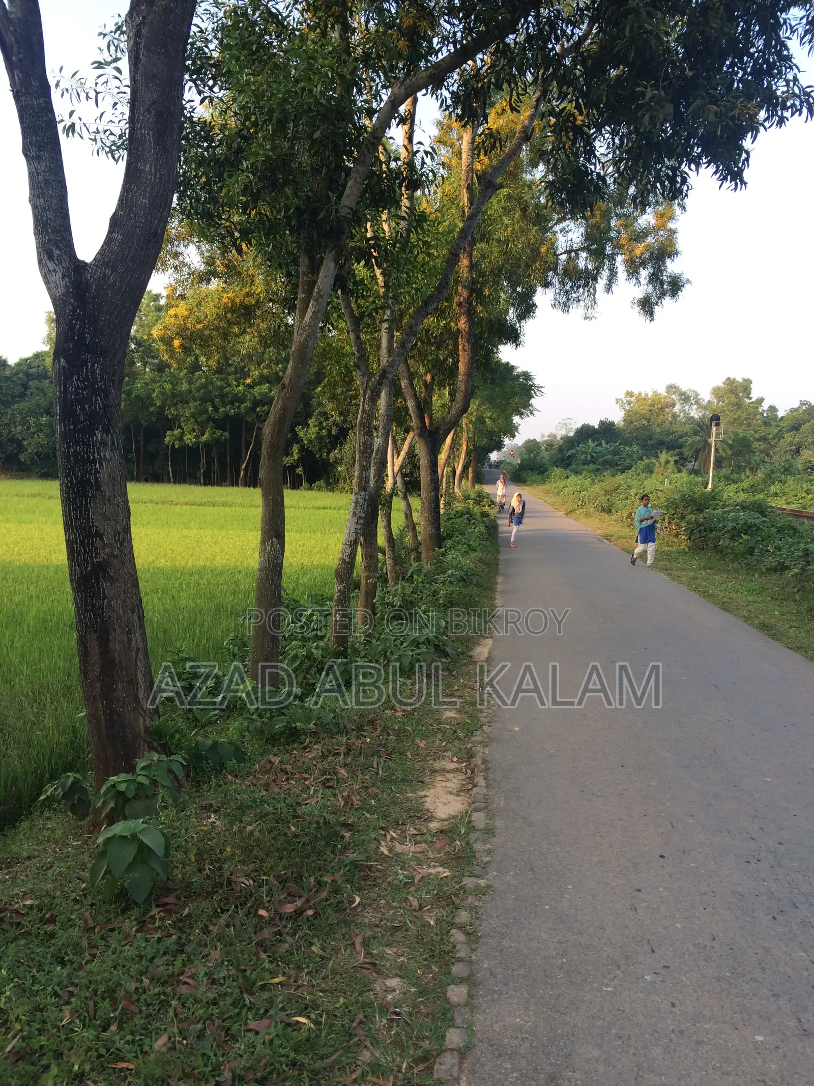 গার্ডেন হোম বা বাংলো তৈরির জন্য জমি বিক্রয়