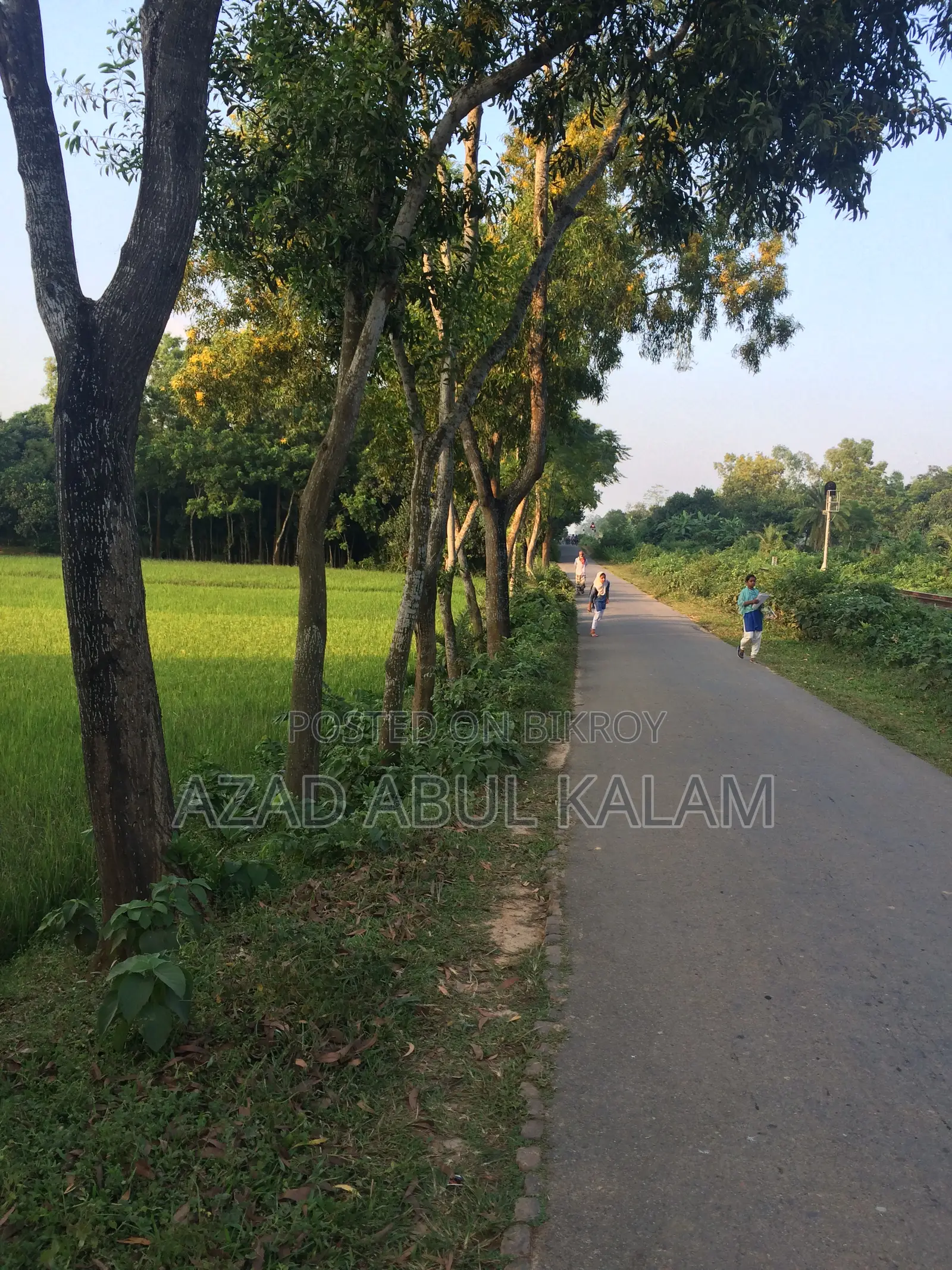 গার্ডেন হোম বা বাংলো তৈরির জন্য জমি বিক্রয়