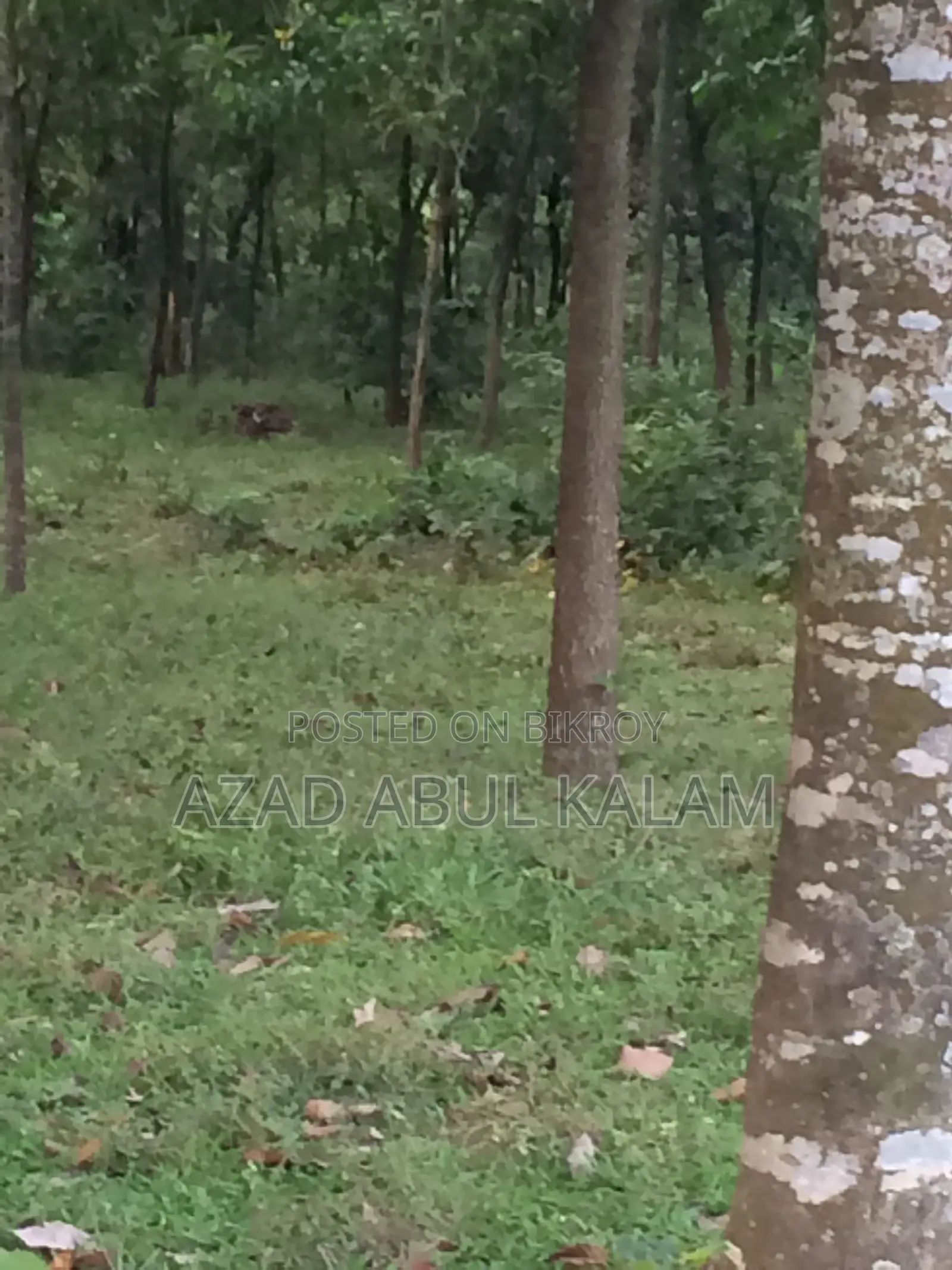গার্ডেন হোম বা বাংলো তৈরির জন্য জমি বিক্রয়