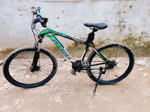 ফিনিক্স সাইকেল