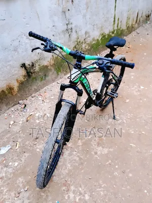 ফিনিক্স সাইকেল