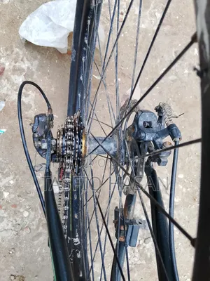 ফিনিক্স সাইকেল