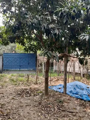 বাণিজ্যিক ব্যবহারের জন্য ১১ কাঠা খালি জমি ভাড়া হবে (মেইন রোড সংলগ্ন)