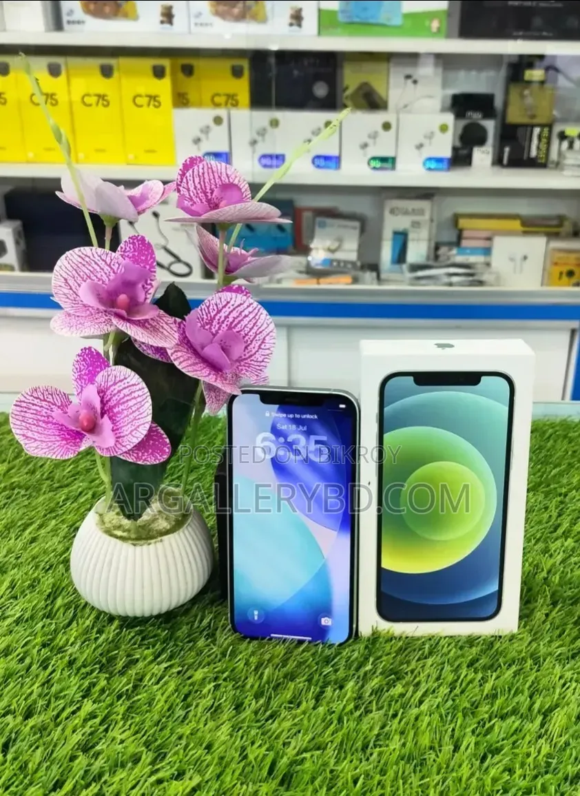 Apple iPhone 12 64 GB Green
