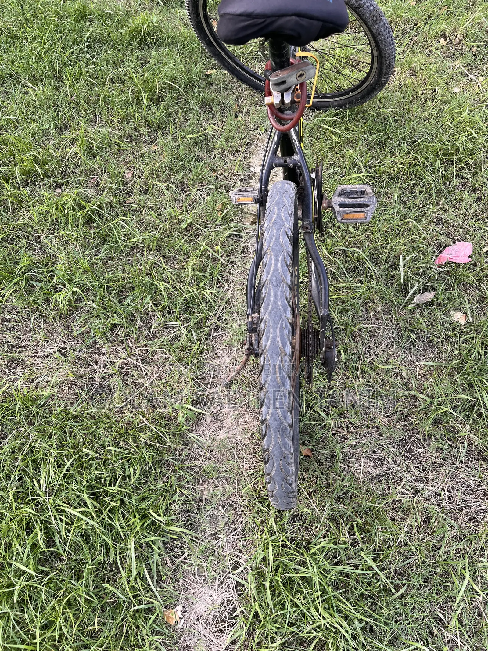 সিরিয়াস ব্র্যান্ড সাইকেল