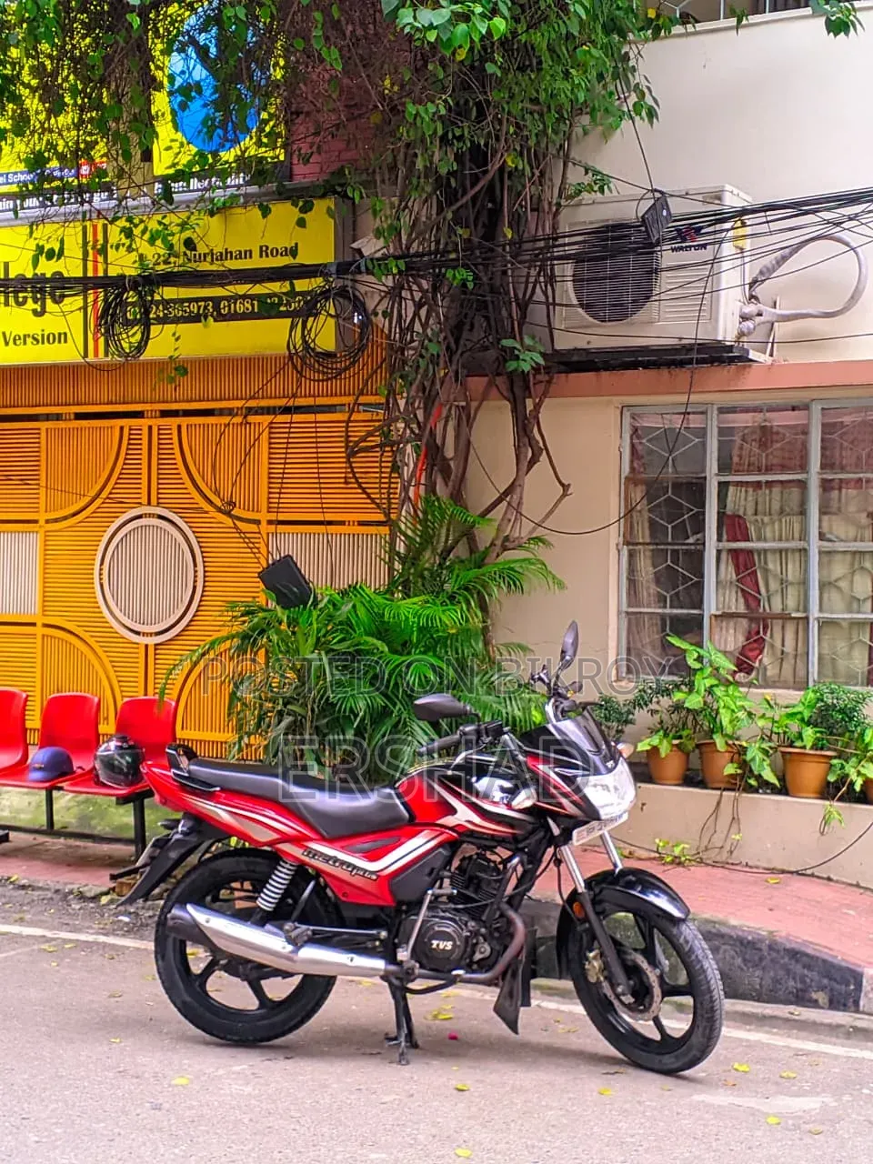 TVS Metro Plus 2024 Pink