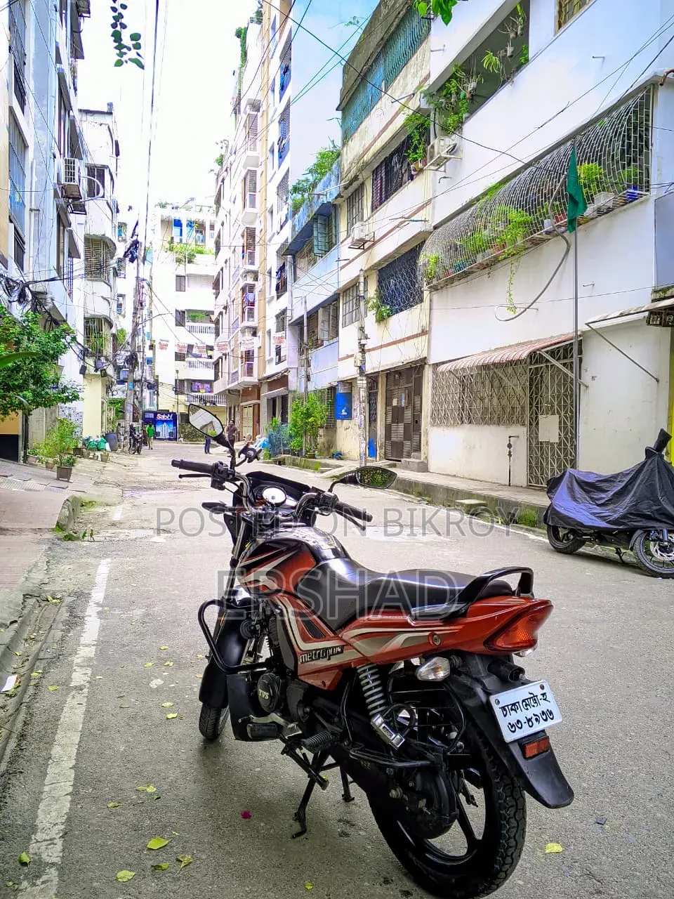 TVS Metro Plus 2024 Pink