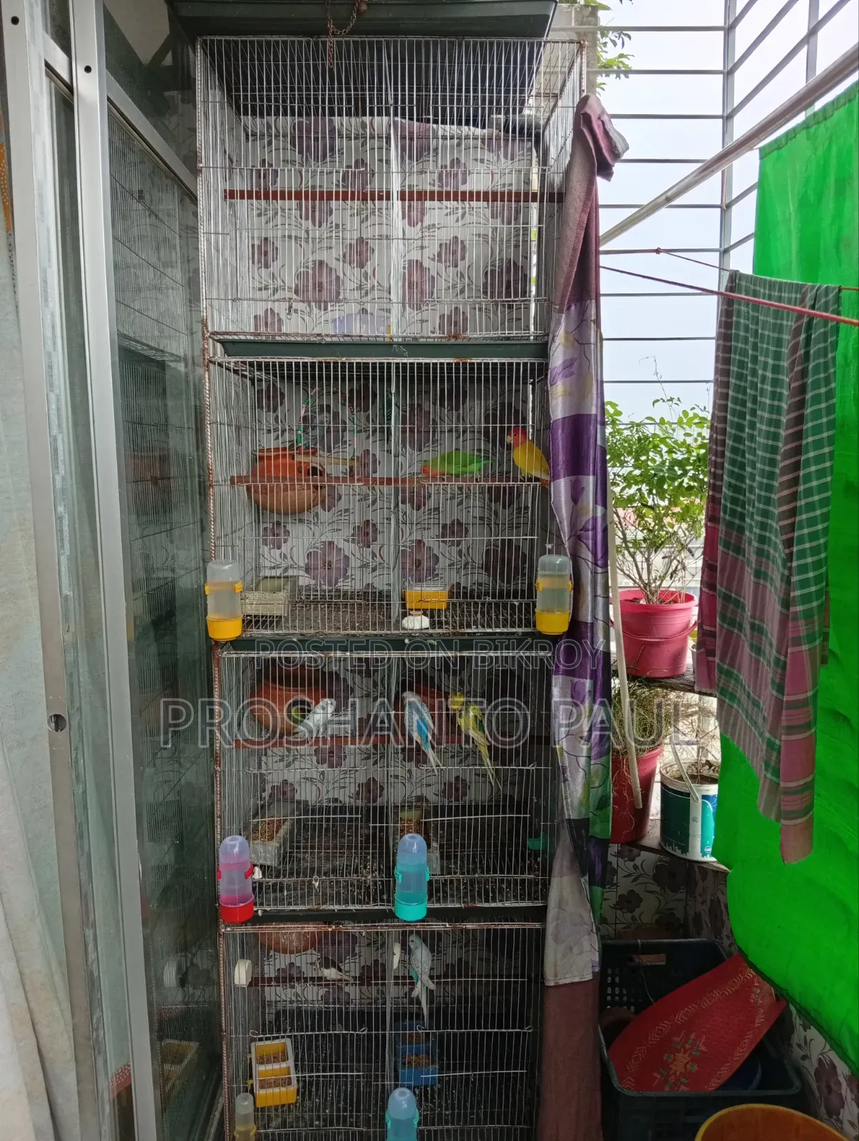 পাখির খাঁচা সহ কলোনির