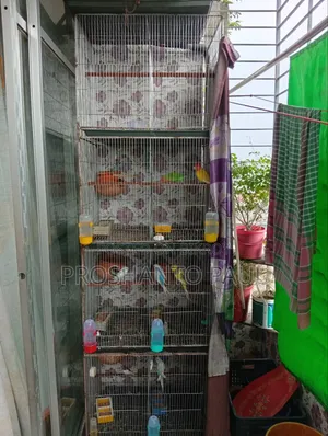 পাখির খাঁচা সহ কলোনির