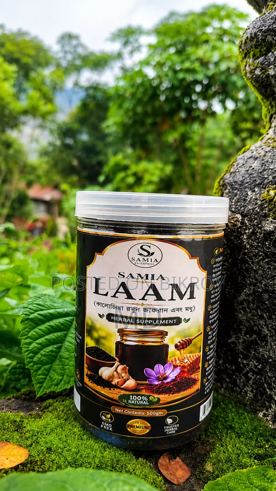 Samia LAAM