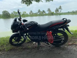 বাজাজ পালসার ১৫০ ২০১৩ ব্ল্যাক