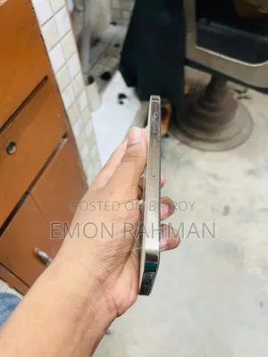 অ্যাপল আইফোন ১৩ প্রো ২৫৬ জিবি গোল্ড