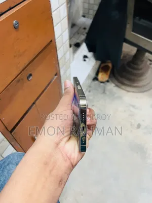 অ্যাপল আইফোন ১৩ প্রো ২৫৬ জিবি গোল্ড
