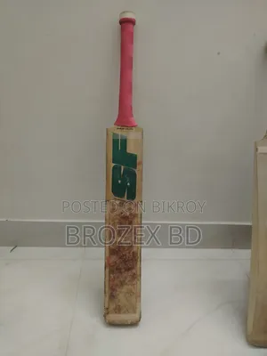 এসএফ প্রফেশনাল ব্যাট ট্রান্সফরমেশন (৪)