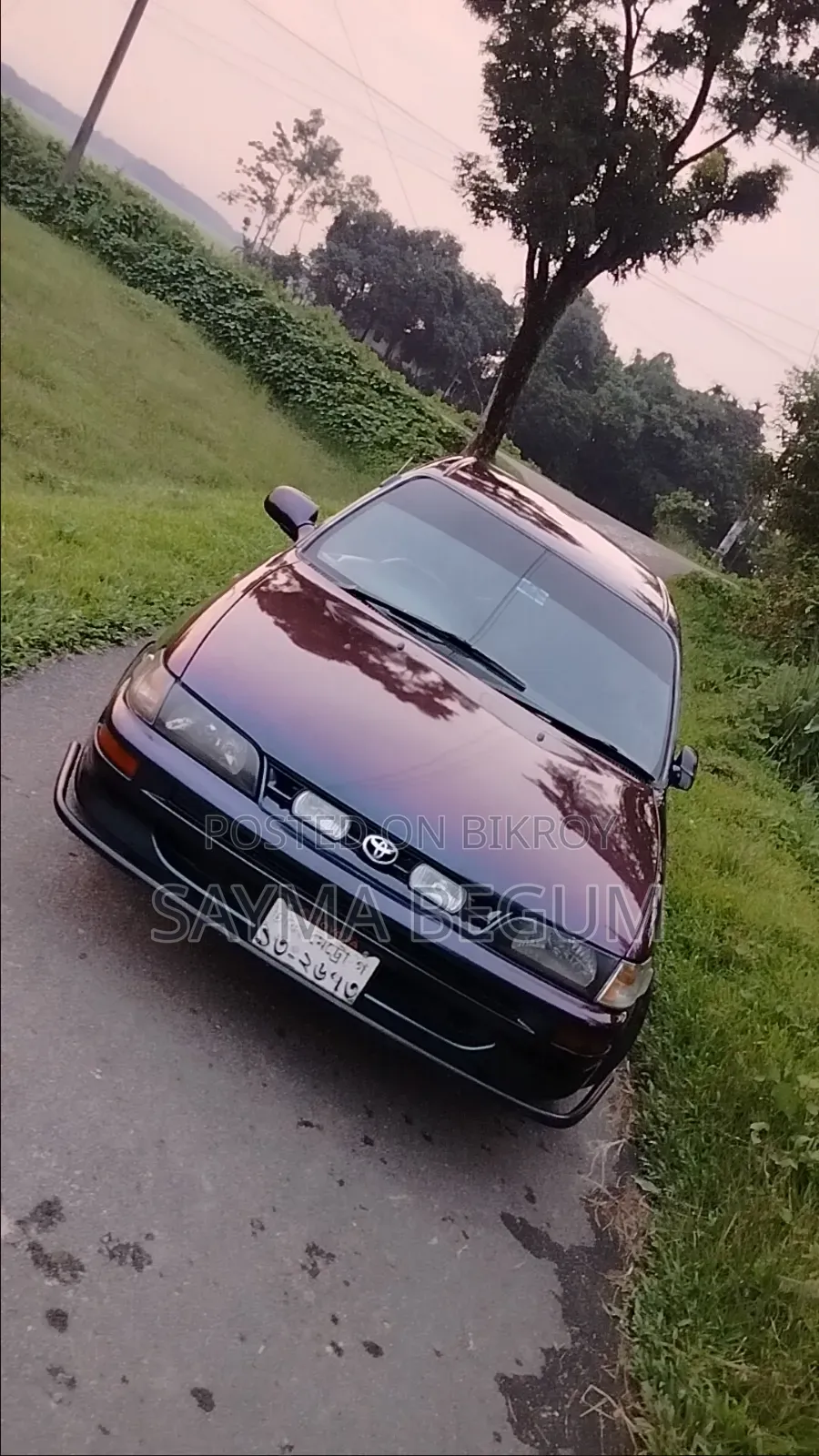 টয়োটা করোলা ১৯৯৯ গ্রে