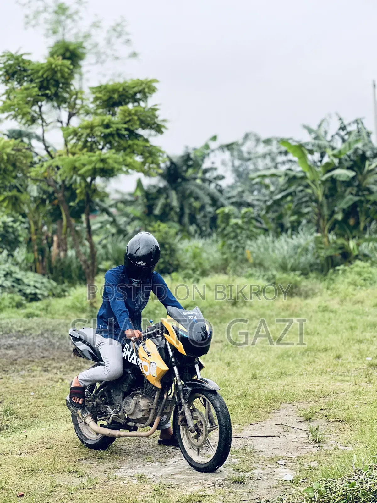 New TVS Apache RTR 160 2V 2016 Yellow