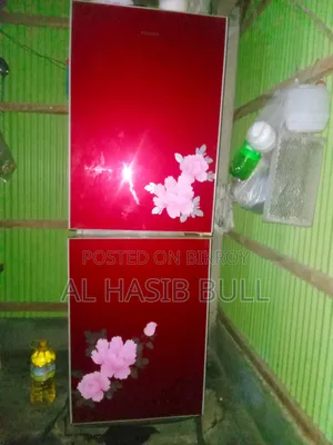 ফ্রিজে বেশি সমস্যা নাই