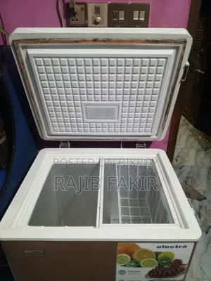 Electra Deep Freezer