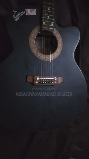 সিগনেচার গিটার মডেল ২৬৫