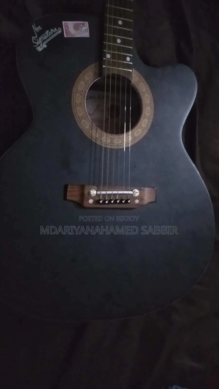 সিগনেচার গিটার মডেল ২৬৫