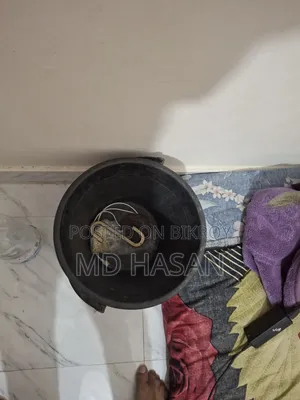 লাইনের গ্যাসের চুলা ও একটি বালতি