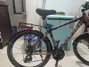 Bicycle Phoenix