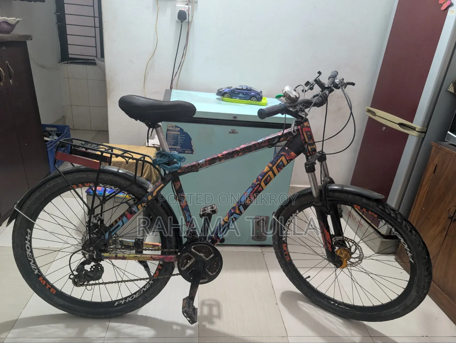 Bicycle Phoenix