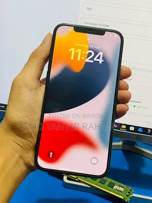 Apple iPhone 12 Pro Max 256 GB Blue