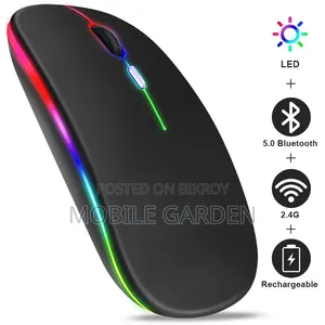 RGB Rechargeable Wireless Mouse