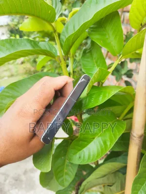 Samsung Galaxy S23 Ultra 256 GB Green