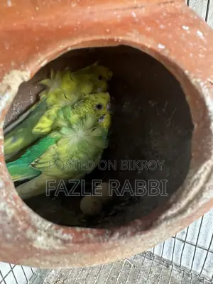 রানিং জেপি