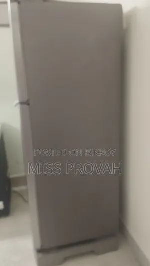 Samsung Fridge