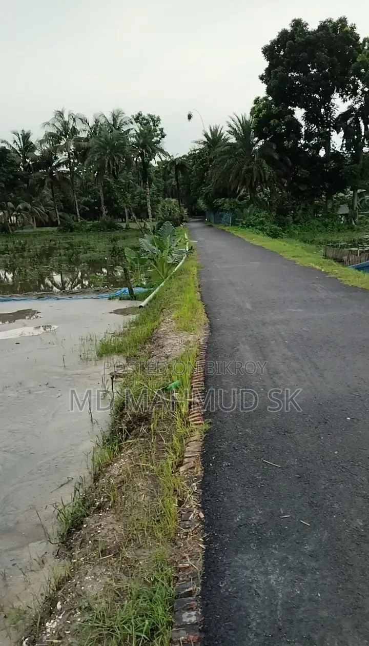 Sambagat Katakhali Theke 2min Vitore Pis Ar Rastar Sathe Ucu Jaga