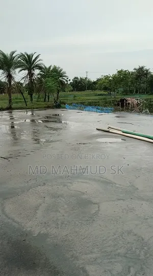 Sambagat Katakhali Theke 2min Vitore Pis Ar Rastar Sathe Ucu Jaga