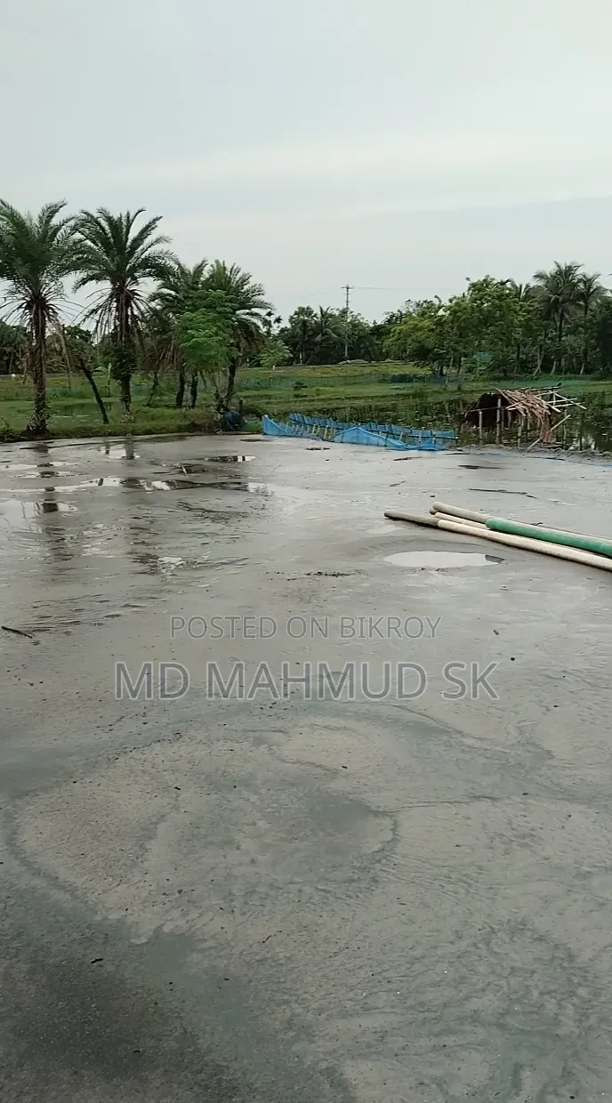 Sambagat Katakhali Theke 2min Vitore Pis Ar Rastar Sathe Ucu Jaga