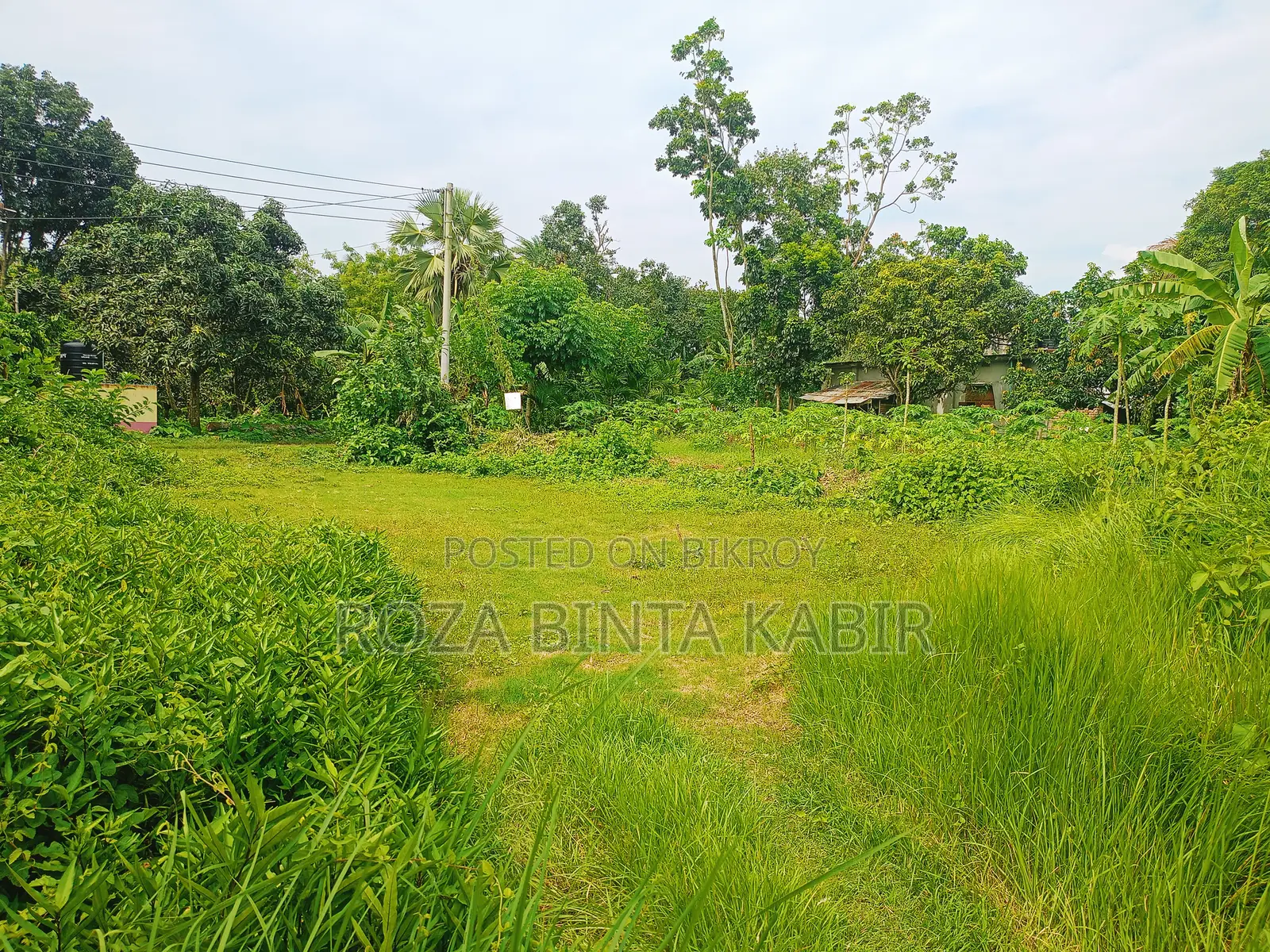 রাজশাহী পবা উপজেলার অন্ধারকোঠা টেংরামারি এলাকাই ২৫.৫ কাঠা জমি বিক্র