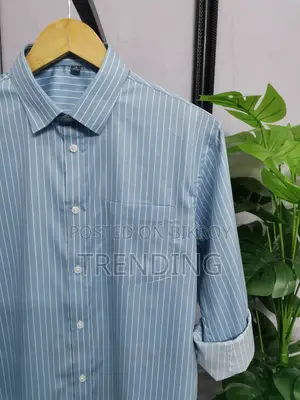 Premium Cotton Striped Casual Shirt for Men
