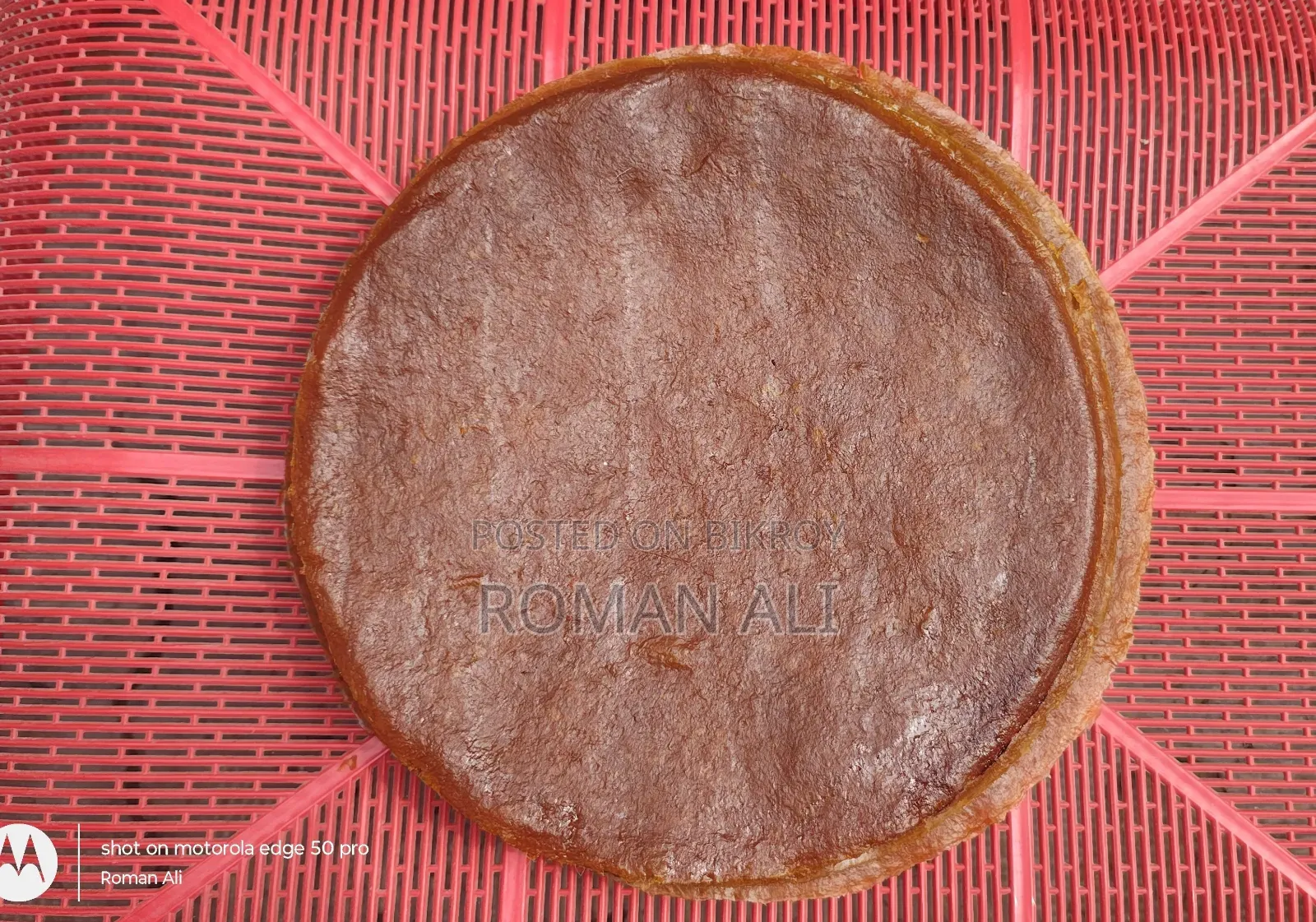 Amsotto (Mango Leather)