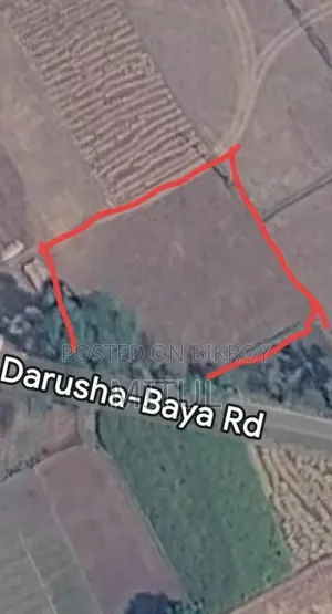 Land 9km from Railgate, beside Pakuria Bridge road