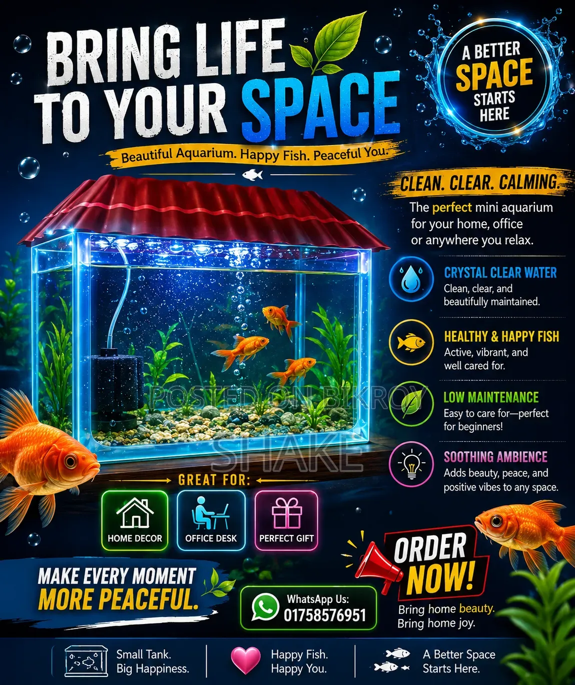 9x6x6 Aquarium