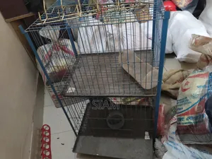 Bird Cage