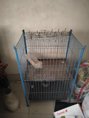 Bird Cage
