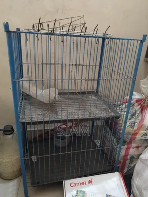 Bird Cage