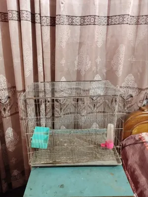 Bird Cage 17.5/12 (পাখির খাঁচা)