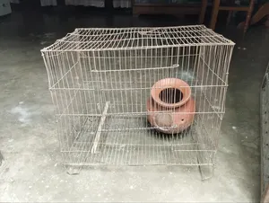 Bird Cage 17.5/12 Inch (পাখির খাঁচা)