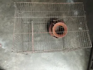 Bird Cage 17.5/12 Inch
