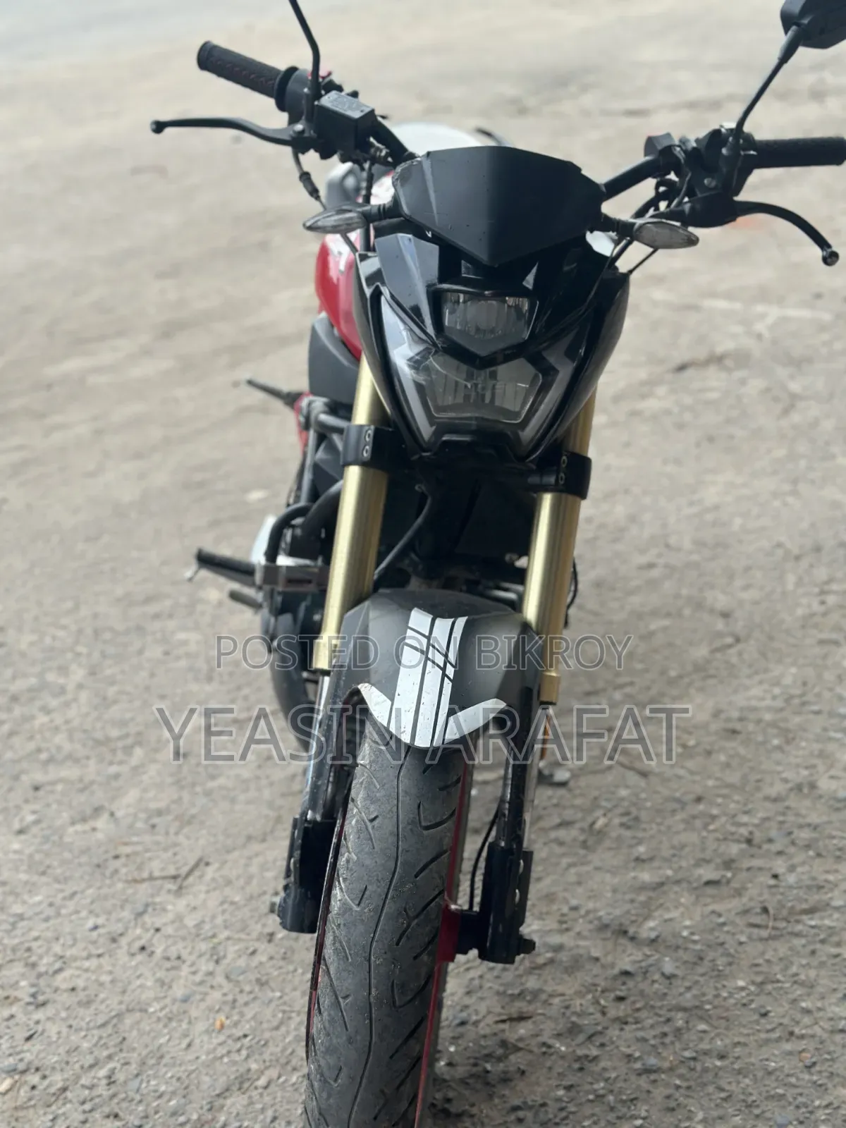 Runner Bolt 165R 2023 Red