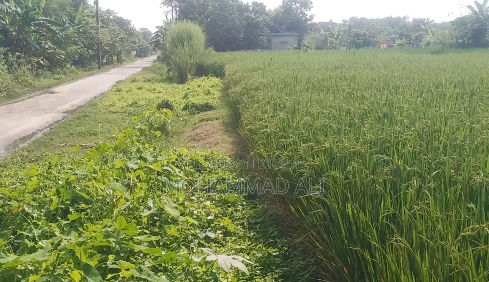 রোডের পাশে জমি কিনুন