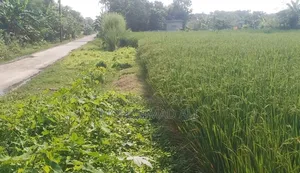 রোডের পাশে জমি কিনুন